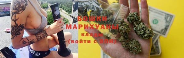 прущие грибы Аркадак