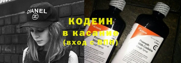 прущие грибы Аркадак