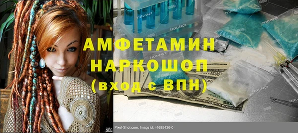 прущие грибы Аркадак