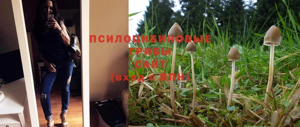 дмт Арсеньев