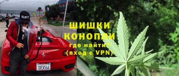 дмт Арсеньев
