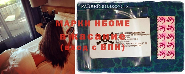 прущие грибы Аркадак