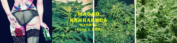 дмт Арсеньев