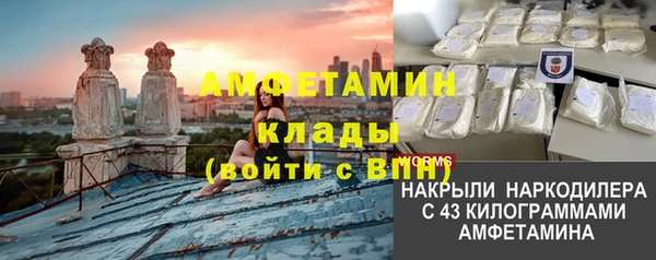 прущие грибы Аркадак